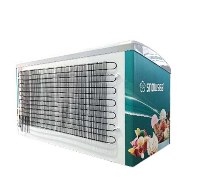 Snow Sea Showcase Freezer 300L - mykariakoo